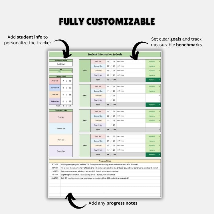 Fry Sight Word Tracker | First 100 Words with Progress Dashboard & Flashcards